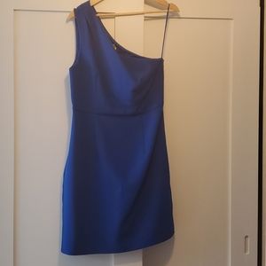 Express One Shoulder Dress